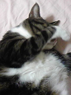 2008-10-24 18:02:16
