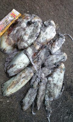 2010-10-13 22:41:26