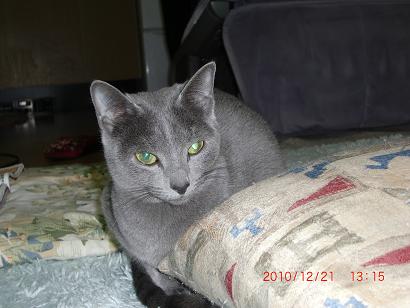 Remy122102.JPG
