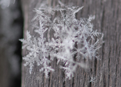 雪の結晶