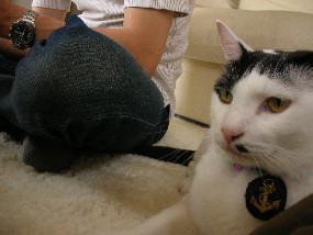 DSCN30321.JPG