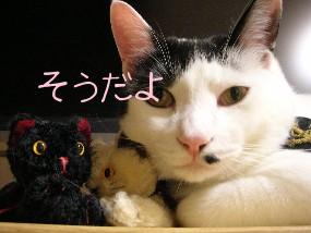 DSCN29771.JPG