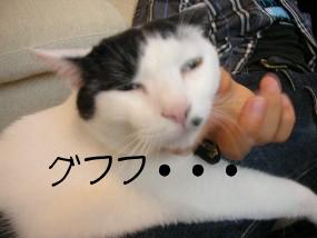 DSCN30231.JPG
