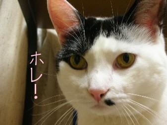DSCN71191.JPG