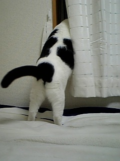 DSCN28561.JPG