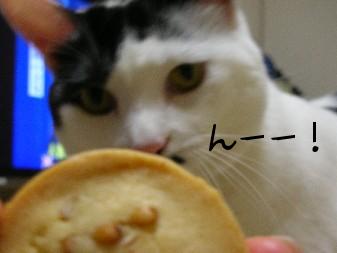 DSCN71301.JPG
