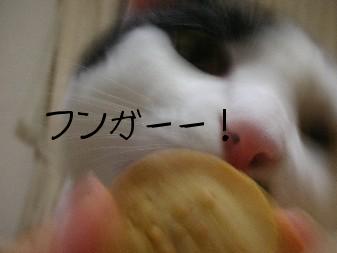 DSCN71311.JPG