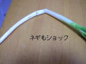 DSCN76311.JPG