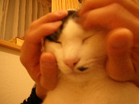 massaji