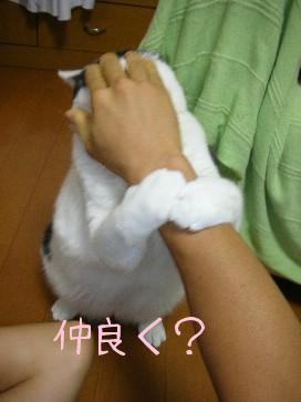 DSCN6873.JPG
