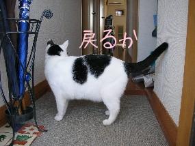 DSCN74041.JPG