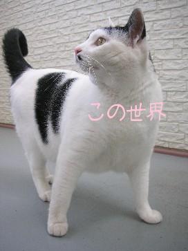 DSCN73991.JPG