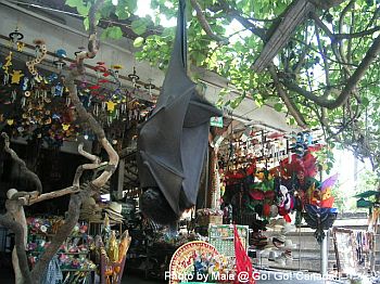 こうもり・・・