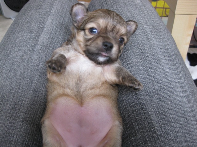 baby