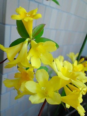 5/9