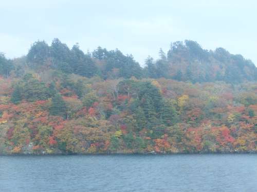 十和田湖　遊覧船41　☆　2009/10/19