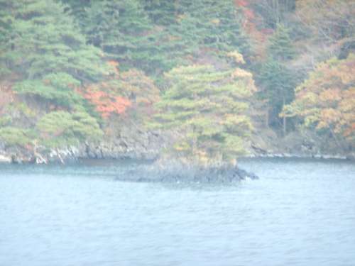 十和田湖　遊覧船44　☆　2009/10/19