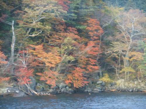 十和田湖　遊覧船50　☆　2009/10/19
