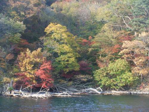 十和田湖　遊覧船58　☆　2009/10/19