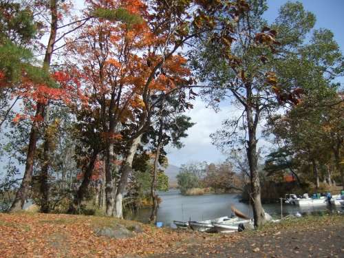 大沼公園4