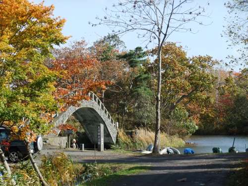 大沼公園8