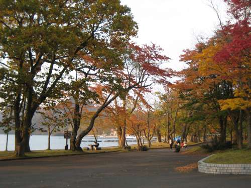 十和田湖7　☆　2009/10/19