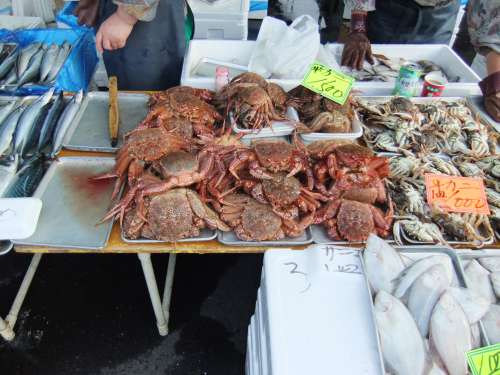 八戸港　朝市2　☆　2009/10/18