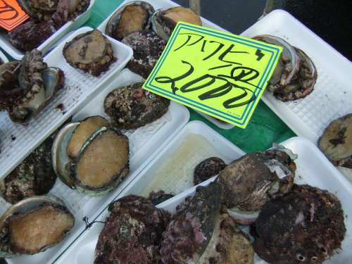 八戸港　朝市3　☆　2009/10/18