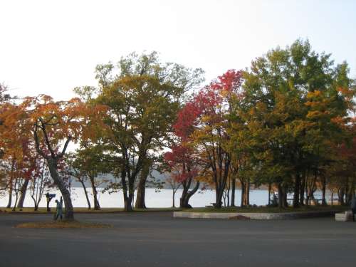 十和田湖11　☆　2009/10/19