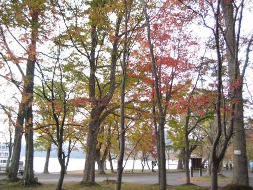 十和田湖12　☆　2009/10/19