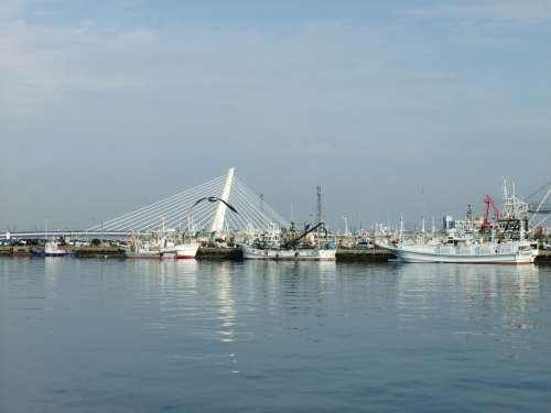 八戸港4　☆　2009/10/18