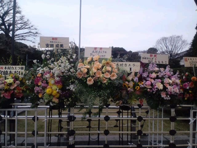 武道館03