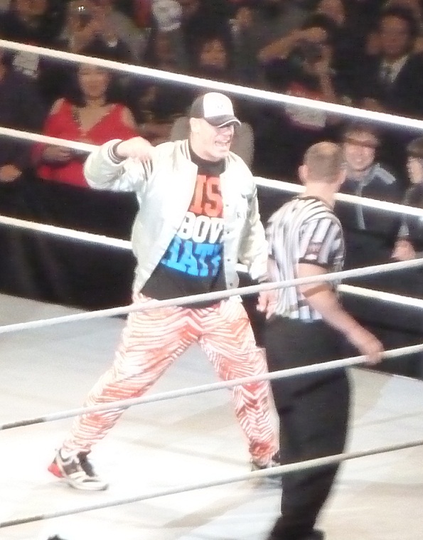 wwe13