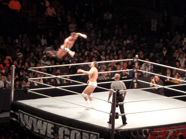 wwe14
