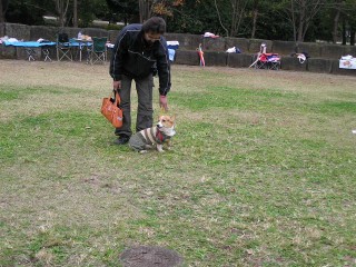 遠く離れて落ち着いているサージュ