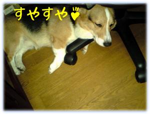 椅子の足