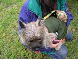 腿乗り犬登場！