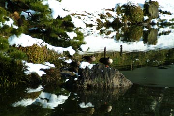 DSCF2040.jpg
