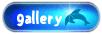 gallery01