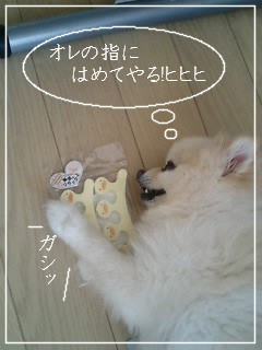 オレのピヨコちゃん