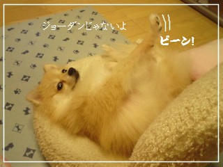 ピーン!!!!!