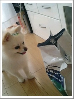 早くちょうだい!