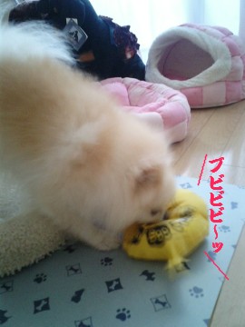 ブビブビブヒーーーーーッ!