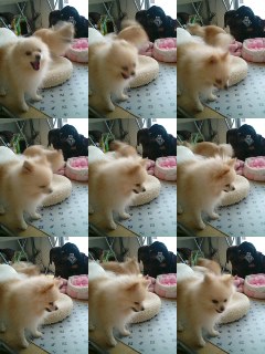 ジル回りまーす