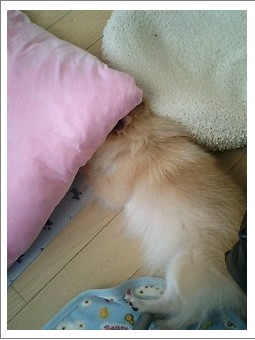 あ～怖かった・・・