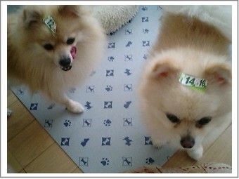 時間指定されてるの♪