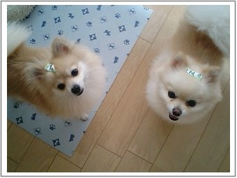 時間通りにお願いしますね