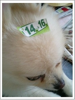 時間指定のオトコ1