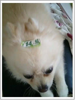 時間指定のオトコ2