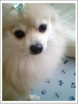 時間指定のオンナ1